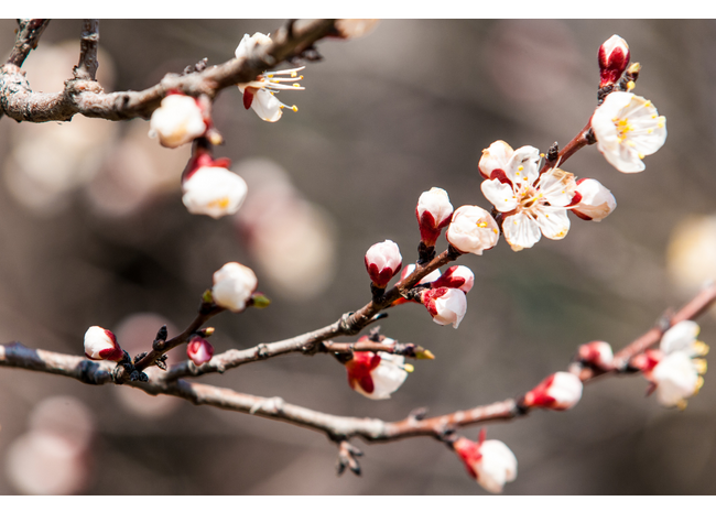 Why Spring Is the Perfect Time to Start Something New – The Cloth Cutter